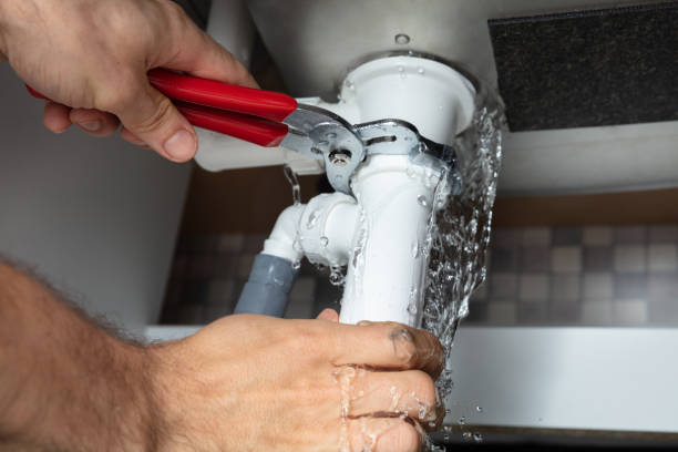 Best Fire Damage Restoration  in De Soto, MO