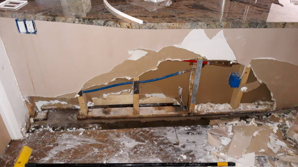 Carpet water damage restoration in De Soto, MO