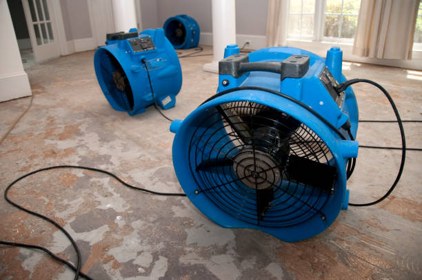 Best Water damage restoration services  in De Soto, MO