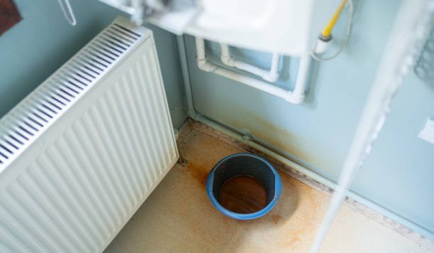 Best Basement water damage restoration  in De Soto, MO