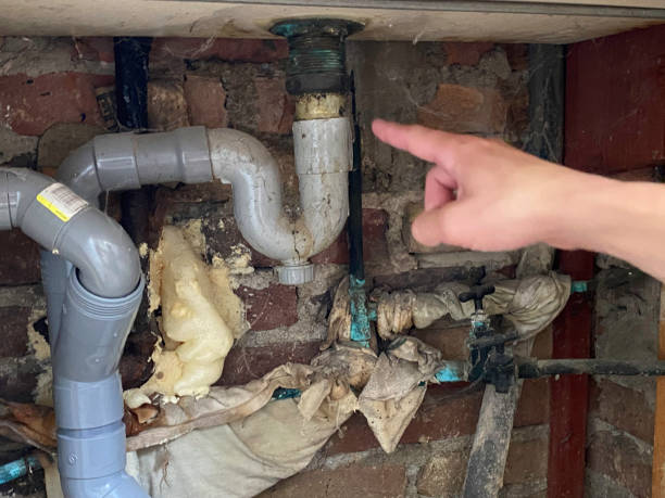 Best Mold removal after water damage  in De Soto, MO