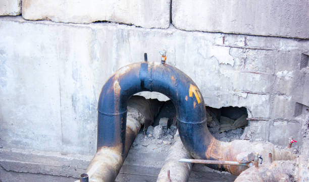 Best Professional water damage repair  in De Soto, MO