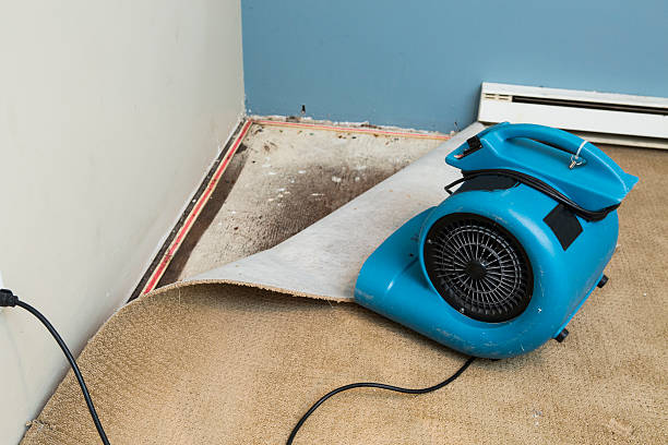 Best Flood restoration services  in De Soto, MO